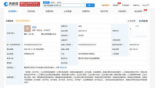 投資重慶成立智慧科技公司，注冊(cè)資本2000萬(wàn)，聚焦計(jì)算機(jī)系統(tǒng)服務(wù)